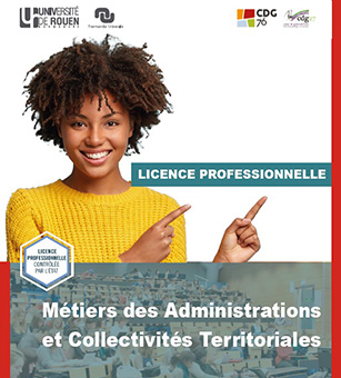 licence professionnelle mact