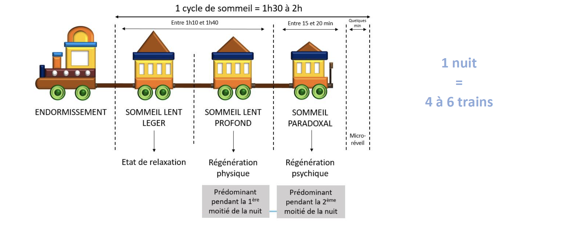 Le sommeil - CDG 76