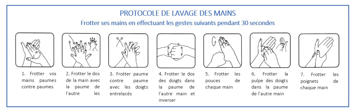 3 étapes pour une maison propre et hygiènique