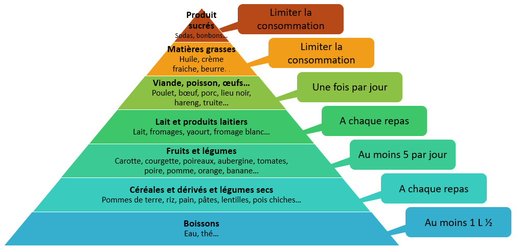 Les bases de l'équilibre alimentaire