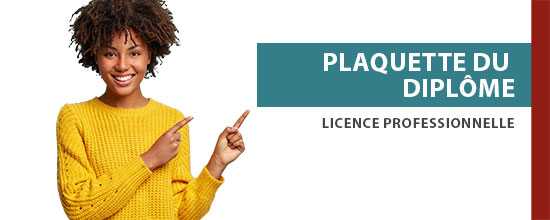 lic_pro_diplome licence professionnelle plaquette diplôme