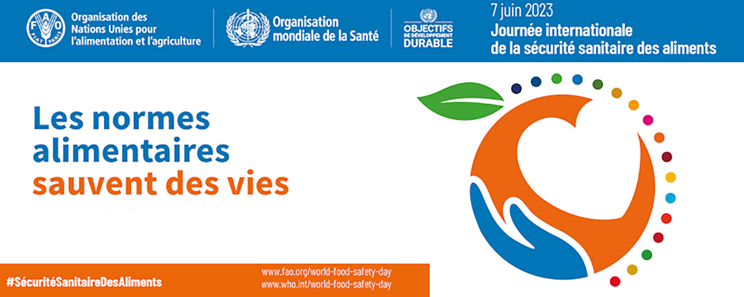 Journée internationale de la sécurité sanitaire des aliments : retrouvez notre guide restauration collective