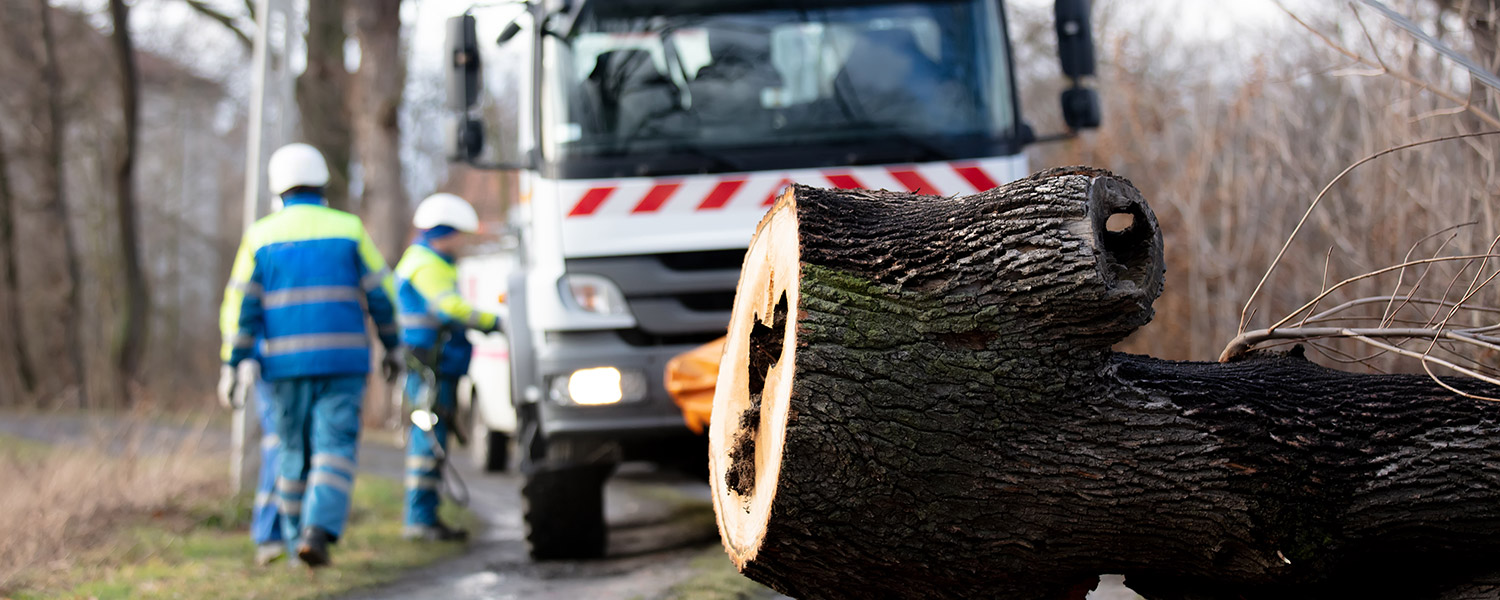 Tempêtes et vents violents : assurer la sécurité de vos agents sur le terrain